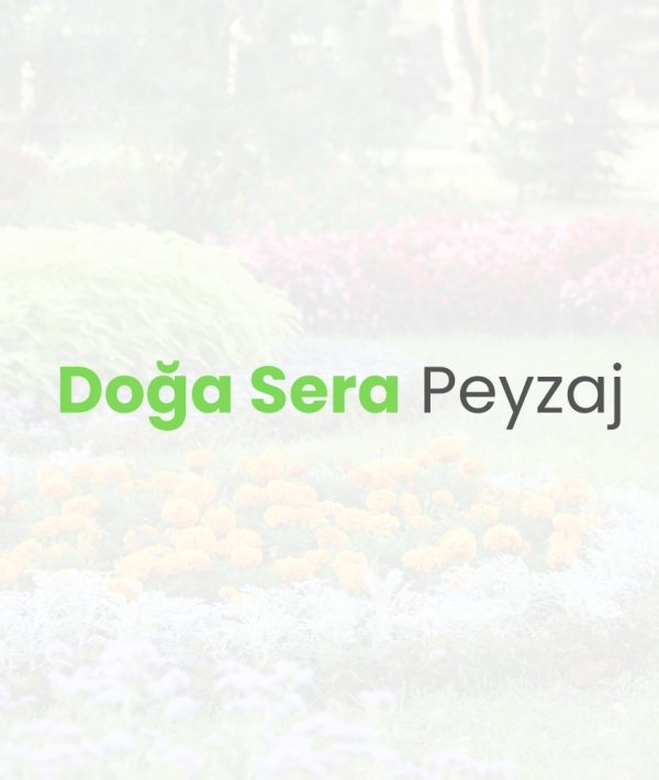 logo_block