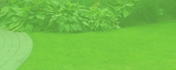 titlebar_back